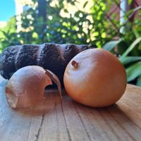 naslovna