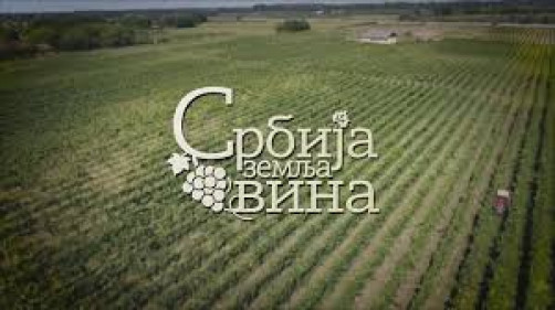 Проф. др Владимир Пушкаш у емисији „Правац, Србија – земља вина“